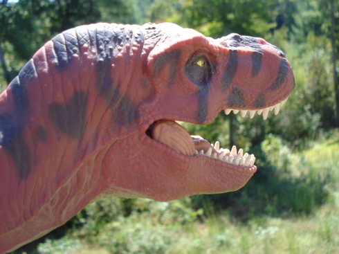 Tyrannosaurus Rexford, T-Rexford, Rexford, Dinosaur Toys