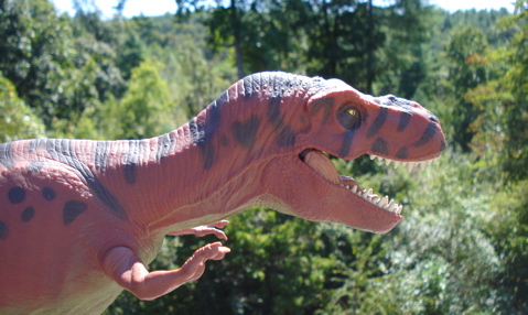 Tyrannosaurus Rexford, T-Rexford, Rexford Dinosaur Toys