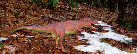 Rexford, Dinosaur Toys