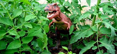 Tyrannosaurus Rexford, Rexford Dinosaur Toys