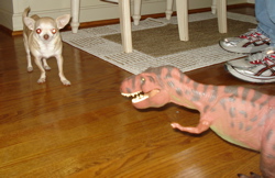 Carnivorous Dinosaurs Dinosaur Toys