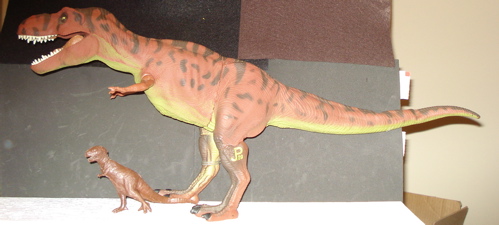 Raptorex, Rexford, Dinosaur Toys