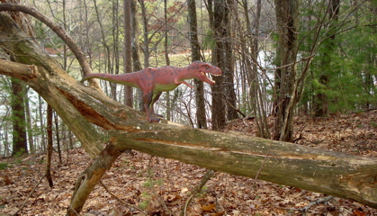 Tyrannosaurus Rexford, Rexford Dinosaur Toys