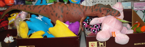 Rexford, Tyrannosaurus Rexford, Dinosaur Toys