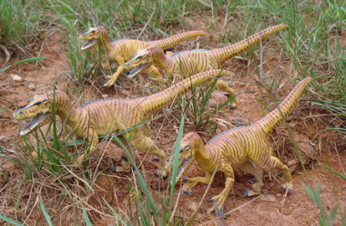 Safari Velociraptor Dinosaur Toys