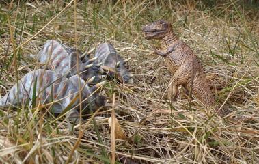 T-Rex, Dinosaur Toys