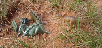 SRG Stegosaurus Dinosaur Toys