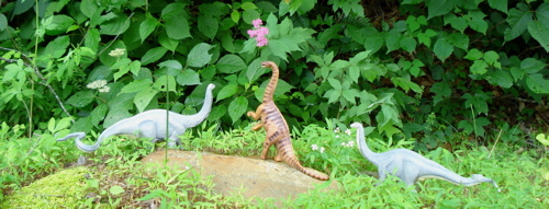 Safari Apatosaurus, Sauropod, Dinosaur Toys