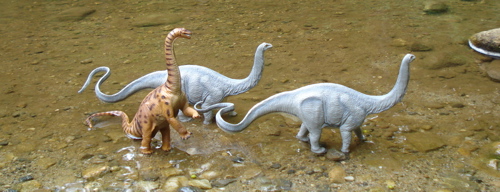 Safari Apatosaurus, Sauropod, Dinosaur Toys