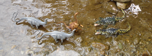 Safari Apatosaurus, Sauropod, Dinosaur Toys