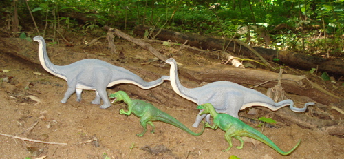 Safari Apatosaurus, Sauropod, Dinosaur Toys