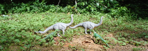 Safari Apatosaurus, Sauropod, Dinosaur Toys