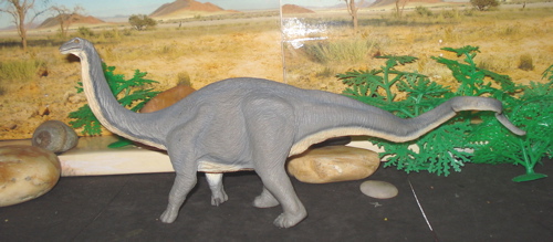 Safari Apatosaurus, Sauropod, Dinosaur Toys