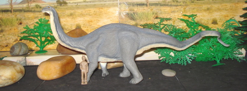 Safari Apatosaurus, Sauropod, Dinosaur toys