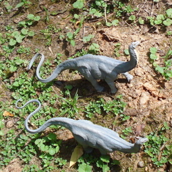 Safari Apatosaurus, Sauropod, Dinosaur Toys