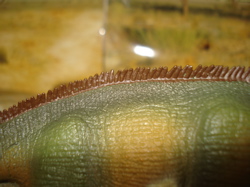 Safari Nigersaurus, Dinosaur Toys