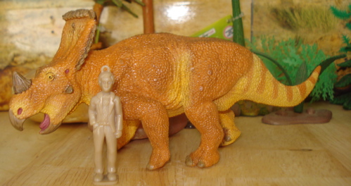 Vagaceratops, Safari Vagaceratops, Safari Dinosaur Toys