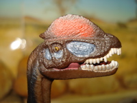 Dilophosaurus, Safari Dilophosaurus, Dinosaur Toys