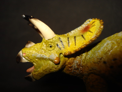 Torosaurus, Dinosaur Toys