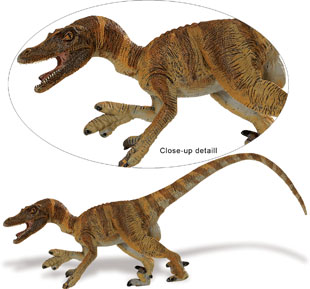 Safari Ltd The Carnegie Collection Dinosaurs of China Velociraptor raptor A 