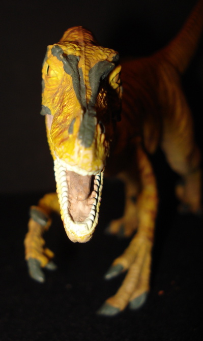 Raptor Dinosaur Toys