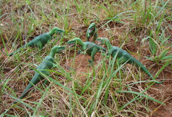 Allosaurs Dinosaur Toys