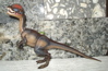 Dilophosaurus, Safari Dilophosaurus, Dinosaur Toys