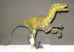 Velociraptor Dinosaur Toys