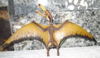 Safari Pterosaur Dinosaur Toys