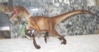 Safari Ltd Dinosaur Toys