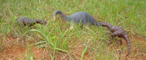 Schleich Allosaurus Dinosaur Toys