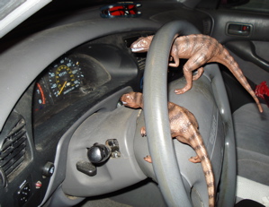 Schleich Allosaurus Dinosaur Toys