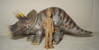 Schleich Triceratops Dinosaur Toys