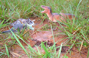 Triceratops Dinosaur Toys