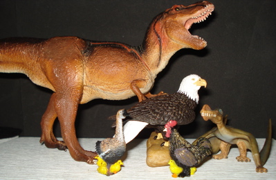 Dinosaur Photo Dinosaur Toys