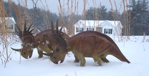 Styracosaurus, X-Plus Styracosaurus, Dinosaur Toys