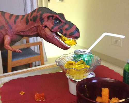 Rexford, Rexford Dinosaur, JELLO, Dinosaur Toys