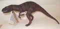 Dinosaur Toys Schleich Allosaurus