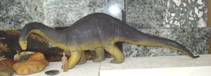 Carnegie Apatosaurus Dinosaur Toys