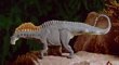 Sauropods Dinosaur Toys