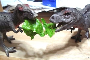 Bullyland Tyrannosaurus Rex Dinosaur Toys