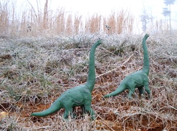 Carnegie Brachiosaurus Dinosaur Toys