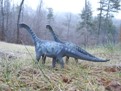 Sauropod Dinosaur Toys