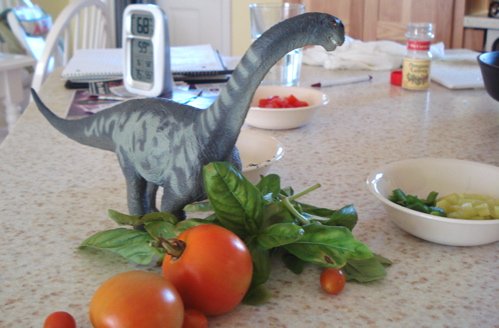 Sauropod Dinosaur Toys