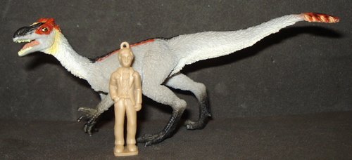 Dilong Dinosaur toys Dilong Dinosaur toys
