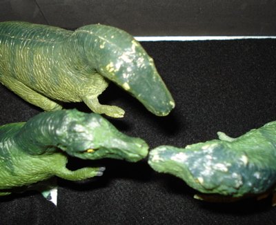 Dinosaur T Rex Toys