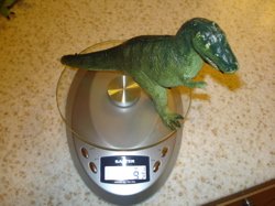 Dinosaur T Rex Toys