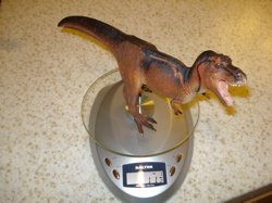 Dinosaur T Rex Toys