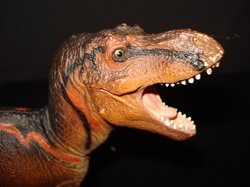 Dinosaur T Rex Toys