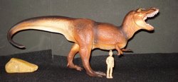 Dinosaur t rex Toys